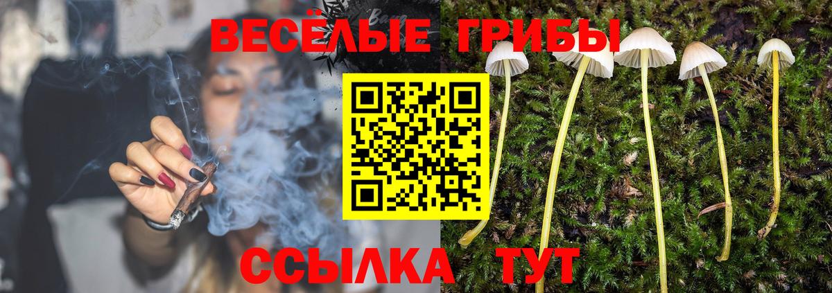 Галлюциногенные грибы Psilocybe  Псилоцибиновые грибы мухоморы  Вход с VPN  Кимры 